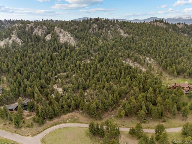 6187 Stone Creek Dr, Evergreen, CO 80439 - photo 5