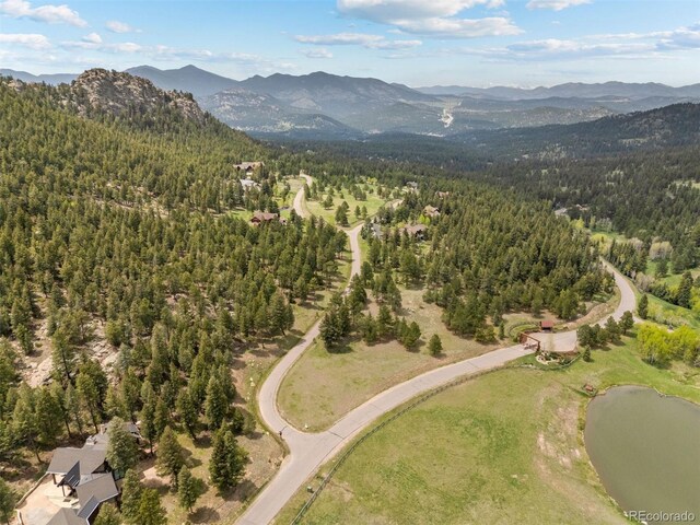 6187 Stone Creek Dr, Evergreen, CO 80439 - photo 6