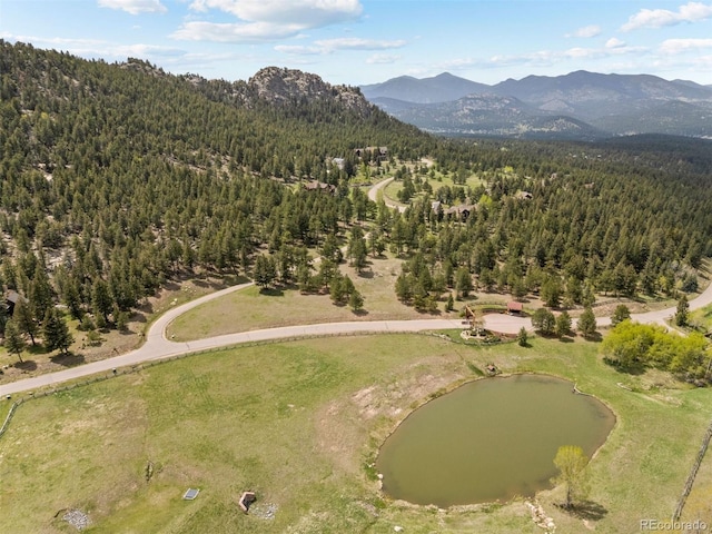6187 Stone Creek Dr, Evergreen, CO 80439 - photo 7
