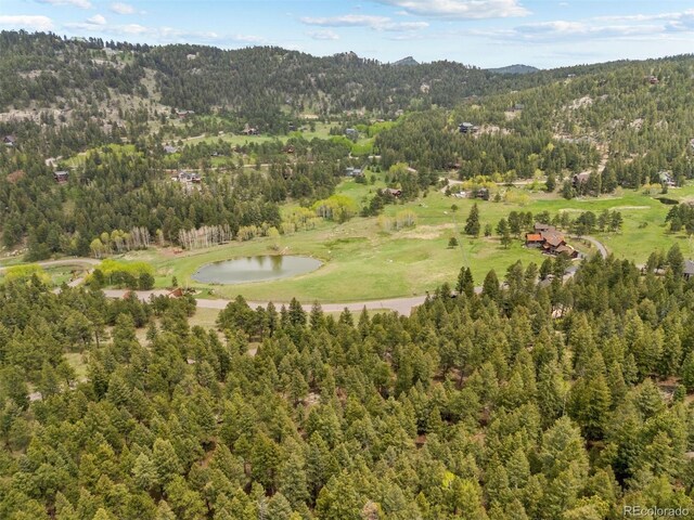 6187 Stone Creek Dr, Evergreen, CO 80439 - photo 11