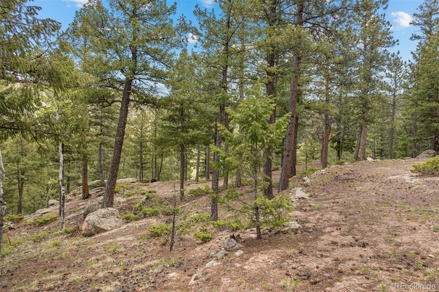 6187 Stone Creek Dr, Evergreen, CO 80439 - photo 12