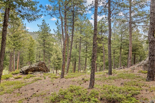 6187 Stone Creek Dr, Evergreen, CO 80439 - photo 13