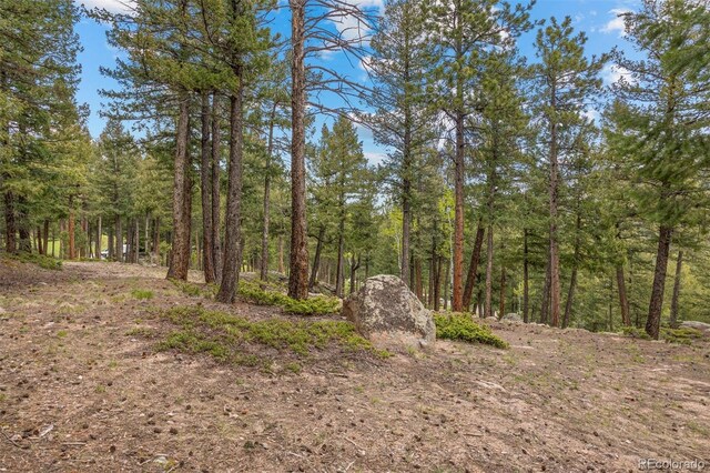 6187 Stone Creek Dr, Evergreen, CO 80439 - photo 14