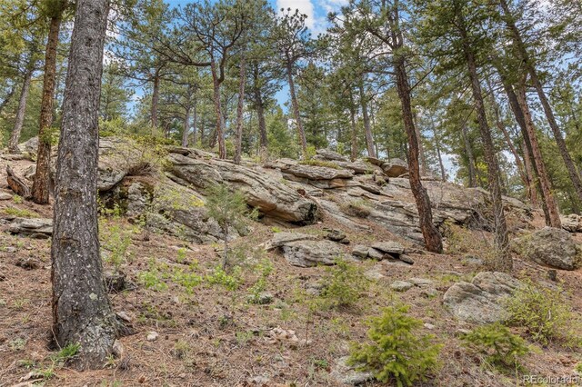 6187 Stone Creek Dr, Evergreen, CO 80439 - photo 15