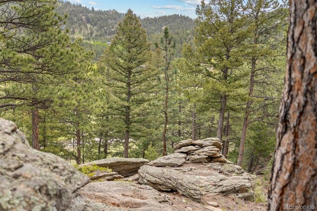 6187 Stone Creek Dr, Evergreen, CO 80439 - photo 17