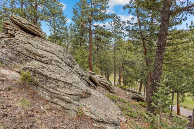 6187 Stone Creek Dr, Evergreen, CO 80439 - photo 18
