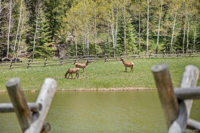 6187 Stone Creek Dr, Evergreen, CO 80439 - photo 20