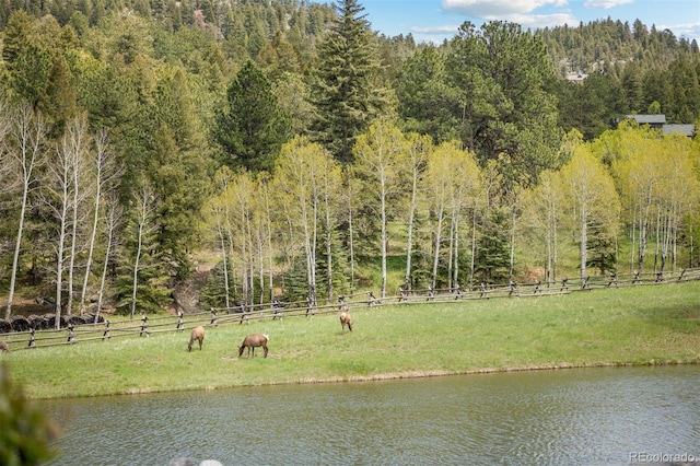 6187 Stone Creek Dr, Evergreen, CO 80439 - photo 22