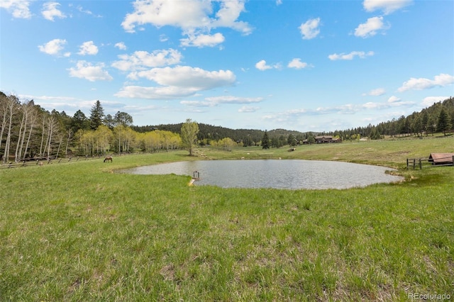 6187 Stone Creek Dr, Evergreen, CO 80439 - photo 23