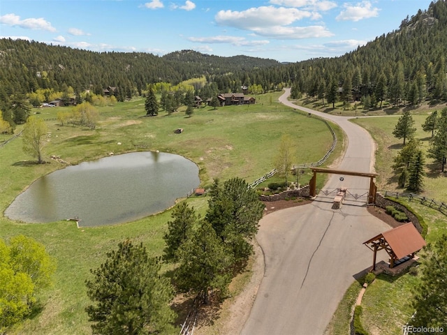 6187 Stone Creek Dr, Evergreen, CO 80439 - photo 24