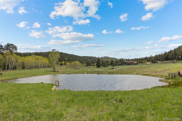 6187 Stone Creek Dr, Evergreen, CO 80439 - photo 25