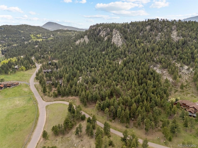 6187 Stone Creek Dr, Evergreen, CO 80439 - photo 26