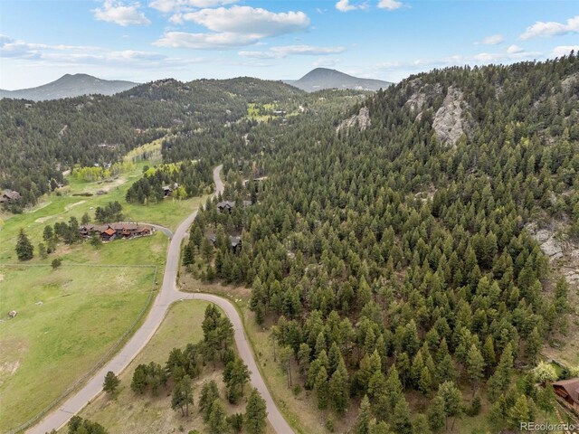 6187 Stone Creek Dr, Evergreen, CO 80439 - photo 27