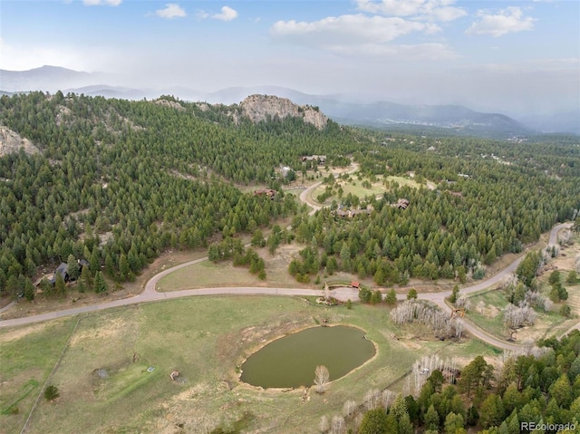 6187 Stone Creek Dr, Evergreen, CO 80439 - photo 28