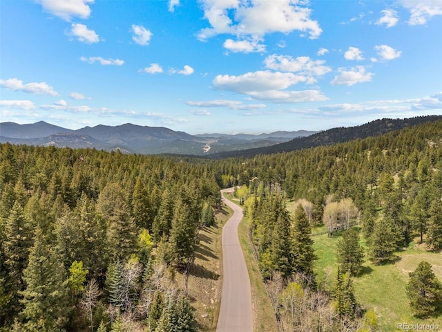 6187 Stone Creek Dr, Evergreen, CO 80439 - photo 29