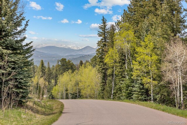 6187 Stone Creek Dr, Evergreen, CO 80439 - photo 30