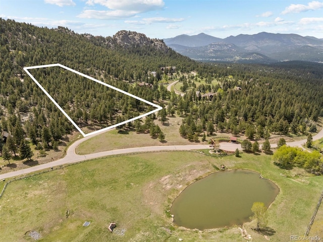 6187 Stone Creek Dr, Evergreen, CO 80439 - photo 1