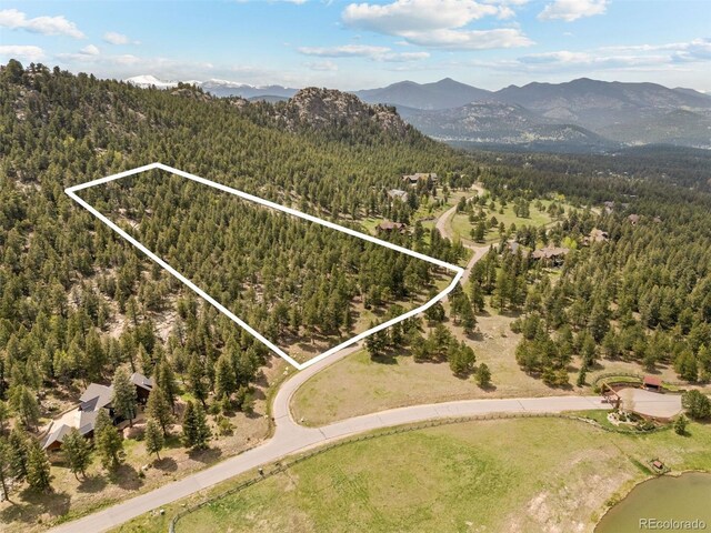 6187 Stone Creek Dr, Evergreen, CO 80439 - photo 4