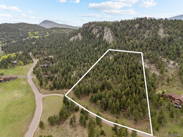 6187 Stone Creek Dr, Evergreen, CO 80439 - photo 8