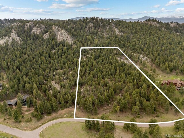 6187 Stone Creek Dr, Evergreen, CO 80439 - photo 9