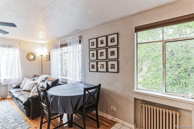 dining space with radiator, light hardwood / wood-style flooring, a textured ceiling, and ceiling fan