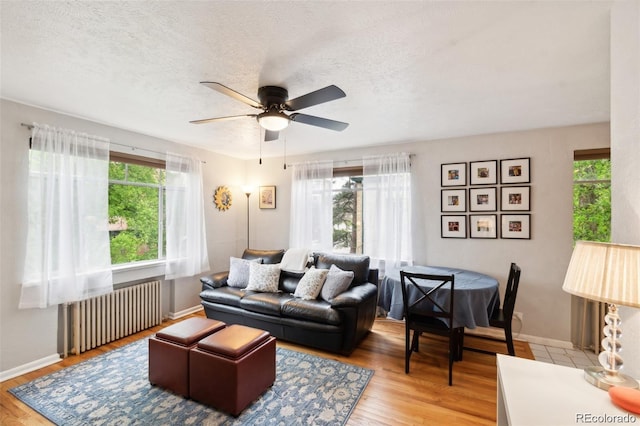 living room featuring radiator, a wealth of natural light, a textured ceiling, and light wood-type flooring