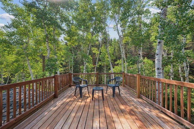 264 Whiskey Jay Hill Rd, Evergreen, CO 80439 - photo 27