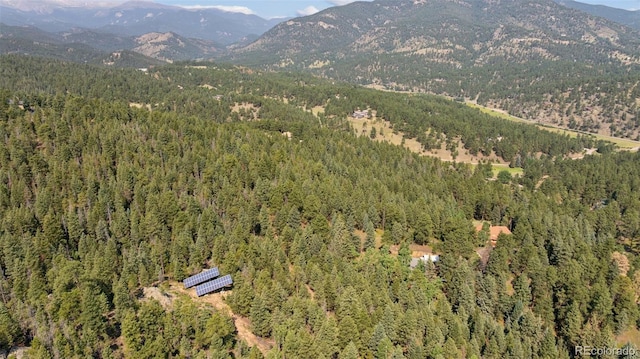 264 Whiskey Jay Hill Rd, Evergreen, CO 80439 - photo 29