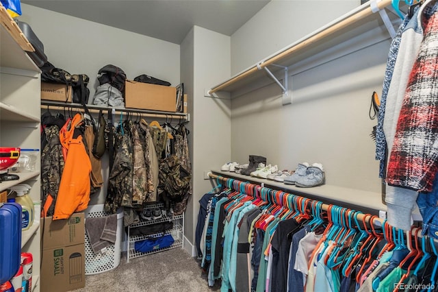 1177 Man O War Way, Colorado Springs, CO 80921 - walk in closet with carpet