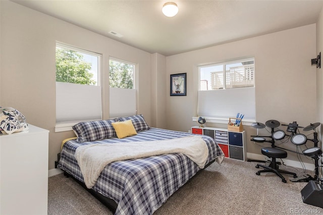 1177 Man O War Way, Colorado Springs, CO 80921 - carpeted bedroom with baseboards