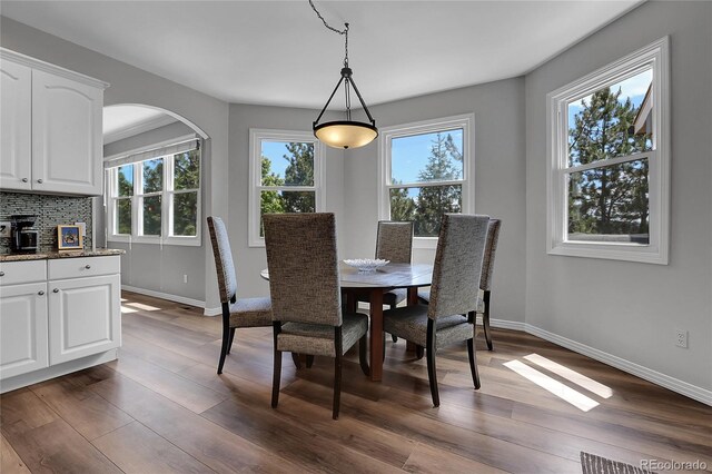 10822 Eagle Crest Ct, Parker, CO 80138 - dining room with dark wood-style floors and arched walkways
