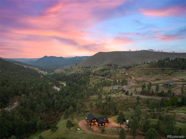 15608 Ouray Rd, Pine, CO 80470 - mountain view