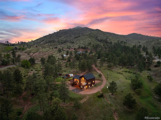 15608 Ouray Rd, Pine, CO 80470 - mountain view