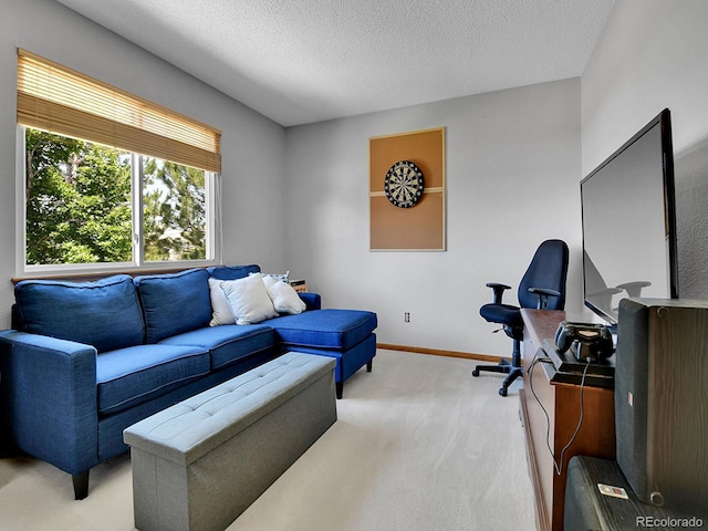 2145 Wynterbrook Dr, Highlands Ranch, CO 80126 - living area with light colored carpet and a textured ceiling