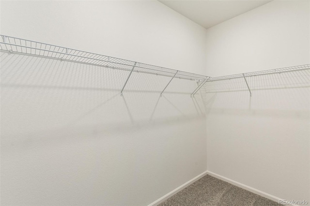 spacious closet with carpet flooring