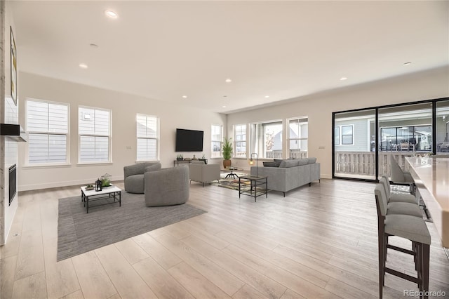 living room featuring light hardwood / wood-style floors