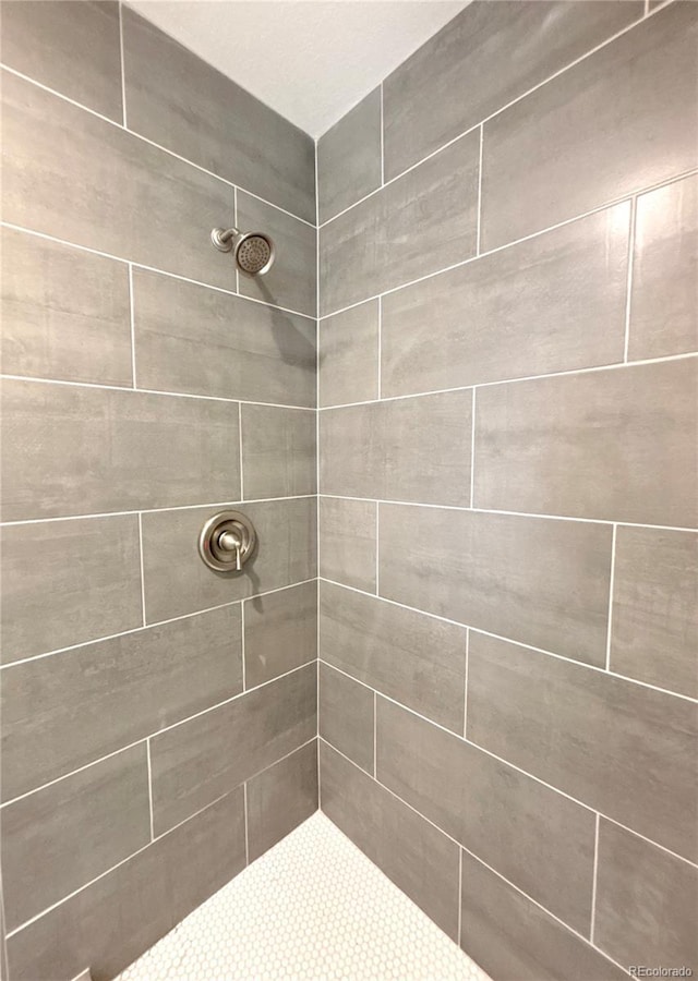9705 W Dakota Ave, Lakewood, CO 80226 - full bath featuring a tile shower