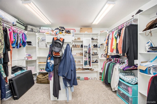 spacious closet with carpet flooring