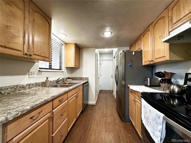 10753 Routt Ct, Broomfield, CO 80021 - kitchen featuring a textured ceiling, a sink, under cabinet range hood, stainless steel appliances, and dark wood-style flooring