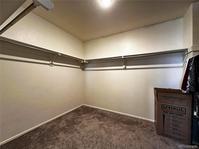 10753 Routt Ct, Broomfield, CO 80021 - walk in closet with carpet