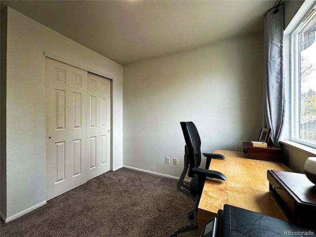 10753 Routt Ct, Broomfield, CO 80021 - carpeted home office featuring baseboards and a healthy amount of sunlight