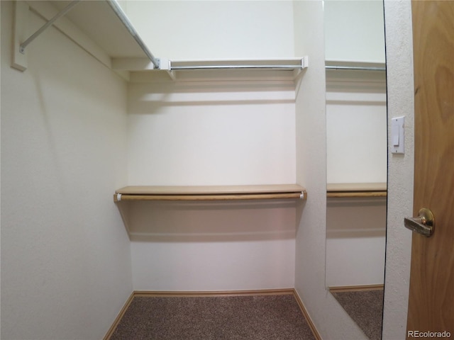 walk in closet with carpet floors