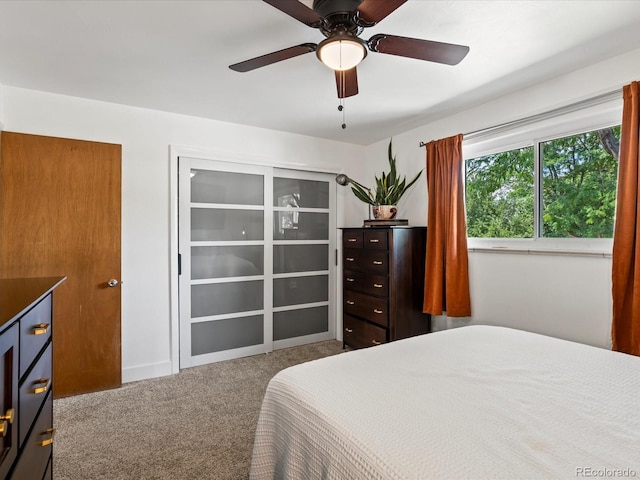 5904 Urban Ct, Arvada, CO 80004 - photo 16