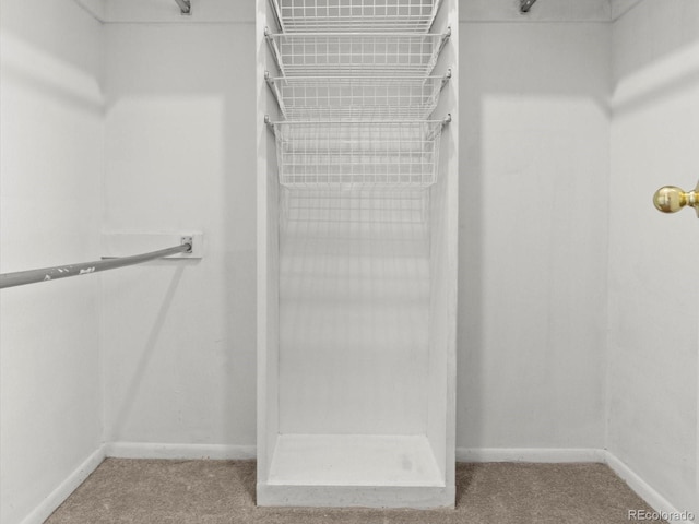 spacious closet featuring light carpet