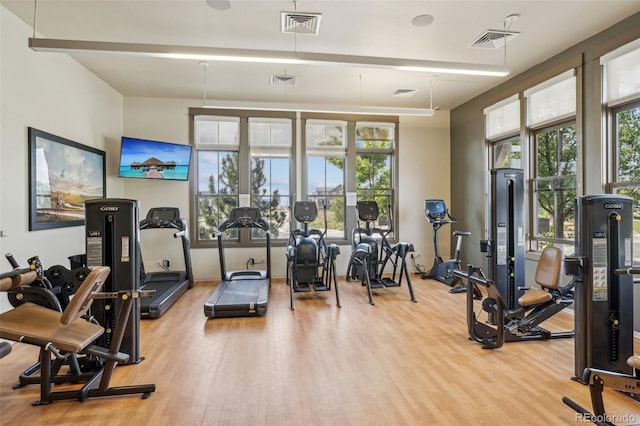 19733 W 93rd Ln Unit A, Arvada, CO 80007 - workout area with light wood-style flooring