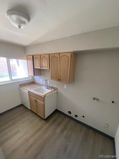 kitchen featuring dishwasher, wood-type flooring, sink, and light brown cabinetry