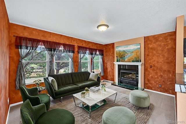 4386 W Deertrail Ct, Castle Rock, CO 80109 - living area with a fireplace and carpet
