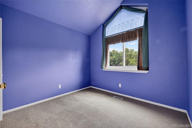 4386 W Deertrail Ct, Castle Rock, CO 80109 - carpeted empty room with lofted ceiling and a textured wall