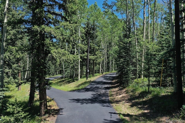 view of street featuring a view of trees