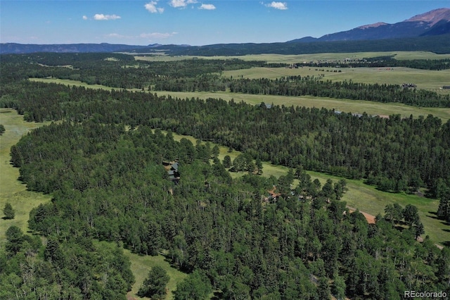 birds eye view of property featuring a mountain view and a wooded view